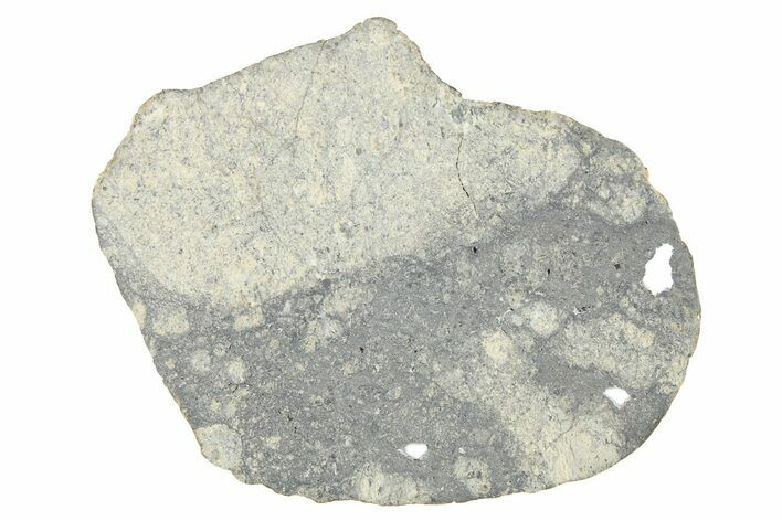 Eucrite Meteorite Slice ( g) - From Vesta Minor-Planet #280675